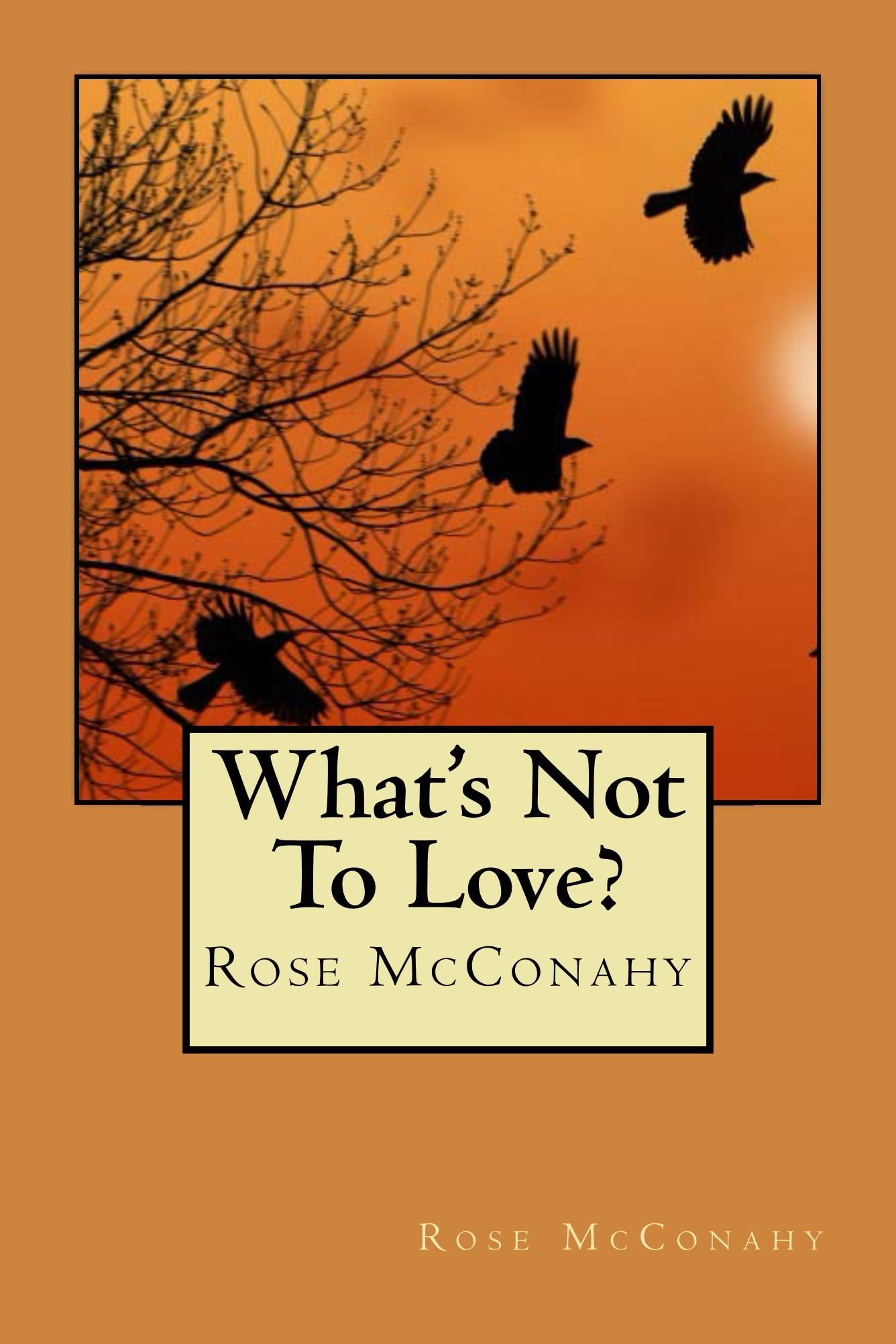 What's Not To Love? by Rose McConahy