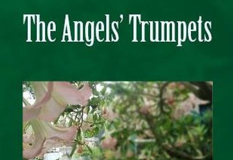 The Angels' Trumpets